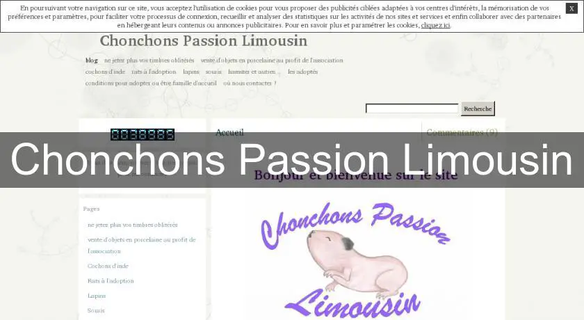 Chonchons Passion Limousin