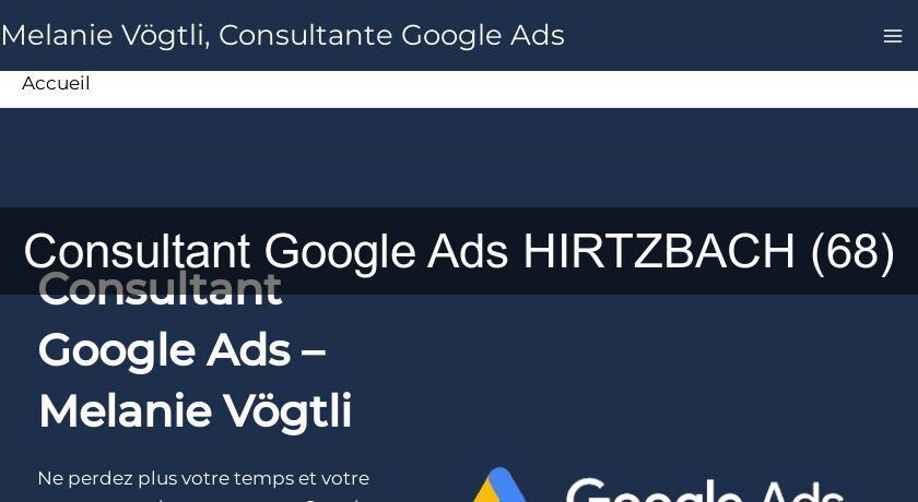 Consultant Google Ads HIRTZBACH (68)