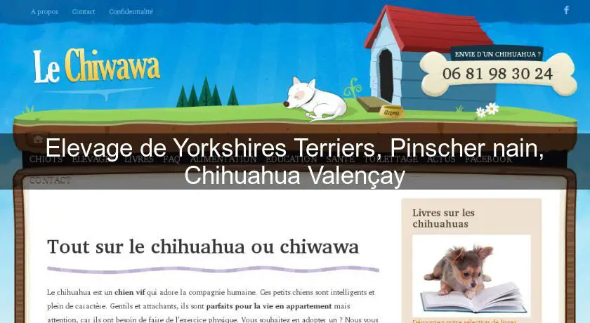 Elevage de Yorkshires Terriers, Pinscher nain, Chihuahua Valençay