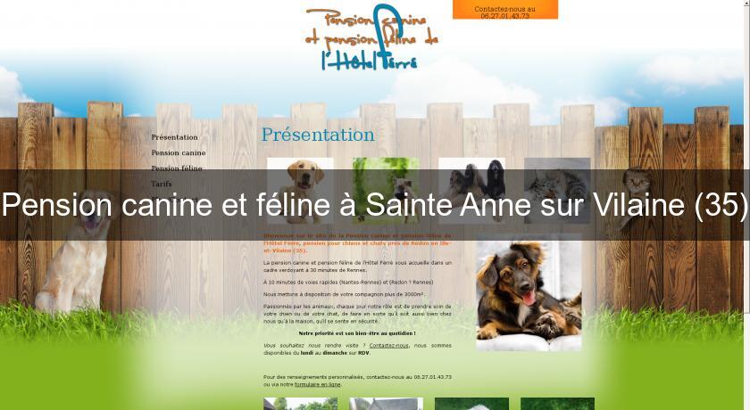 Pension canine et féline à Sainte Anne sur Vilaine (35)
