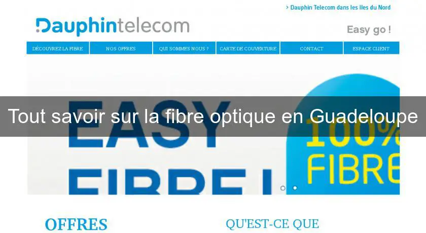 Tout savoir sur la fibre optique en Guadeloupe