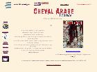 Cheval Arabe France - Endurance Magazine