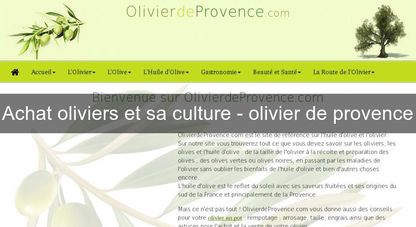 Achat oliviers et sa culture - olivier de provence