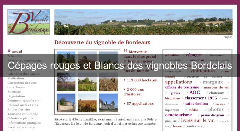 Cépages rouges et Blancs des vignobles Bordelais