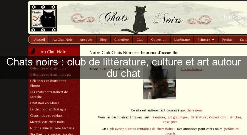 Chats Noirs Club De Litterature Culture Et Art Autour Du Chat Chat