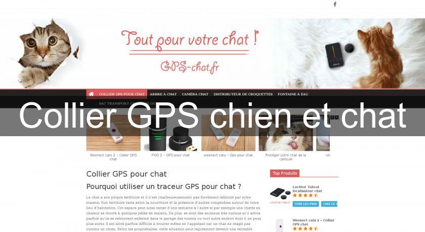 Collier Gps Chien Et Chat Produits Et Accessoires