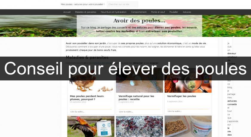 Conseil pour élever des poules