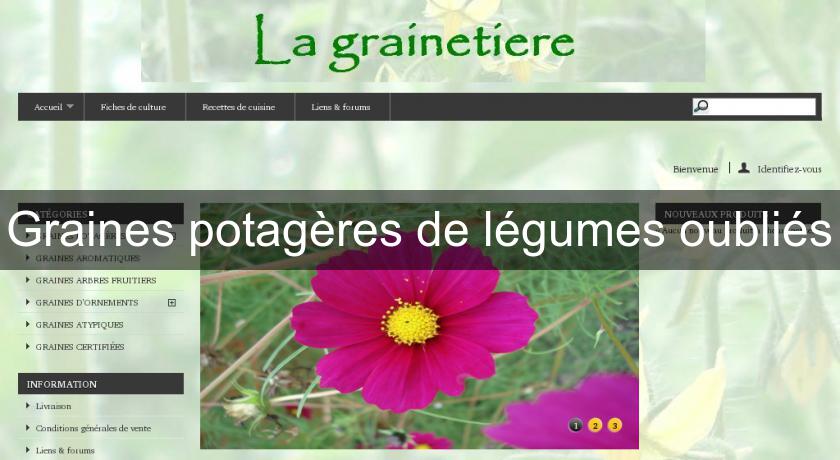 https://www.gralon.net/annuaire/vignettes/pics-graines-potageres-de-legumes-oublies-51444.jpg