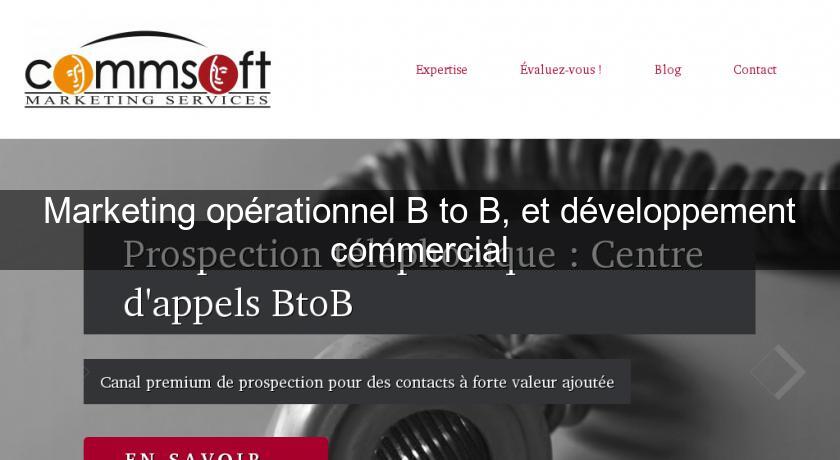 Marketing Opérationnel B To B, Et Développement Commercial Call Center