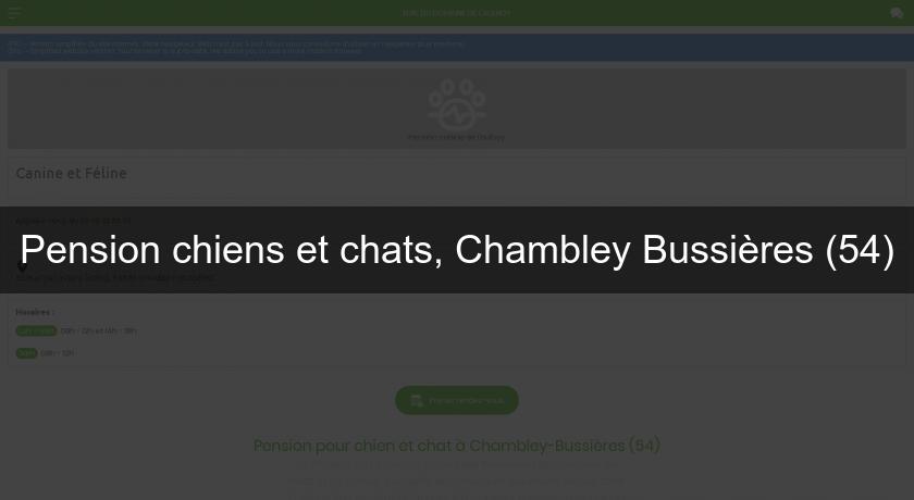 Pension Chiens Et Chats Chambley Bussieres 54 Chien