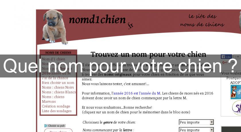 calendrier chien lettre