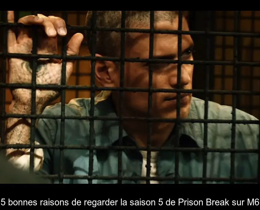 5 bonnes raisons de regarder la saison 5 de Prison Break sur M6