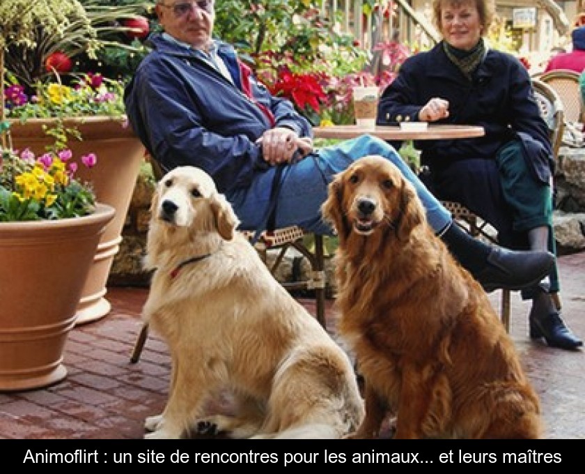 site de rencontre pour ceux qui aiment les animaux