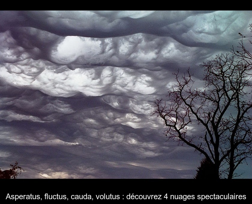 Asperatus, fluctus, cauda, volutus : découvrez 4 nuages spectaculaires