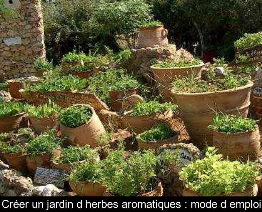 Créer un jardin d'herbes aromatiques : mode d'emploi