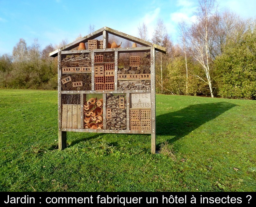 Installer un hotel à insectes au jardin bio, pourquoi, comment