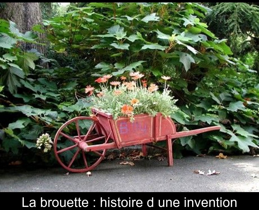Brouette De Jardin Et Et Vieille Roue De Chariot De Boeuf Photo