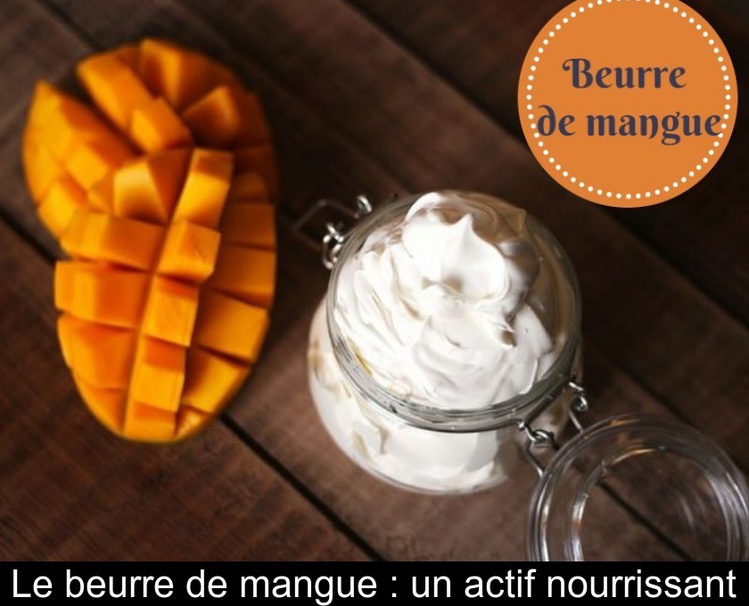 beurre-de-mangue Mangifera indica