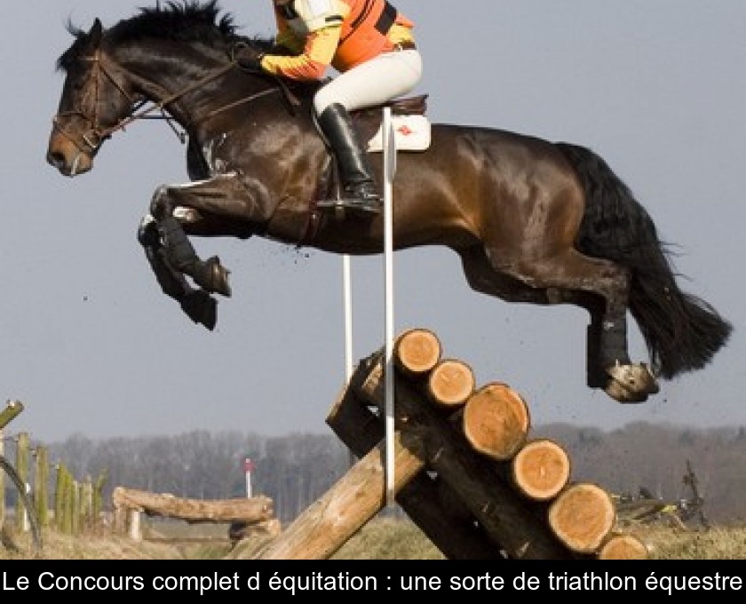 Le Concours complet d'équitation : une sorte de triathlon équestre