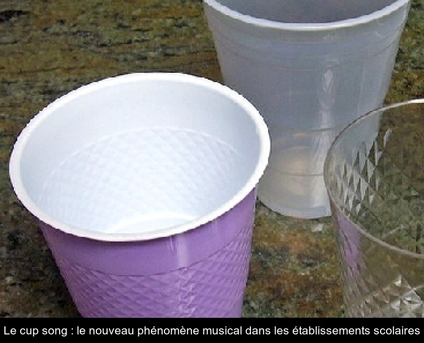 Le cup song : le nouveau phénomène musical dans les établissements scolaires