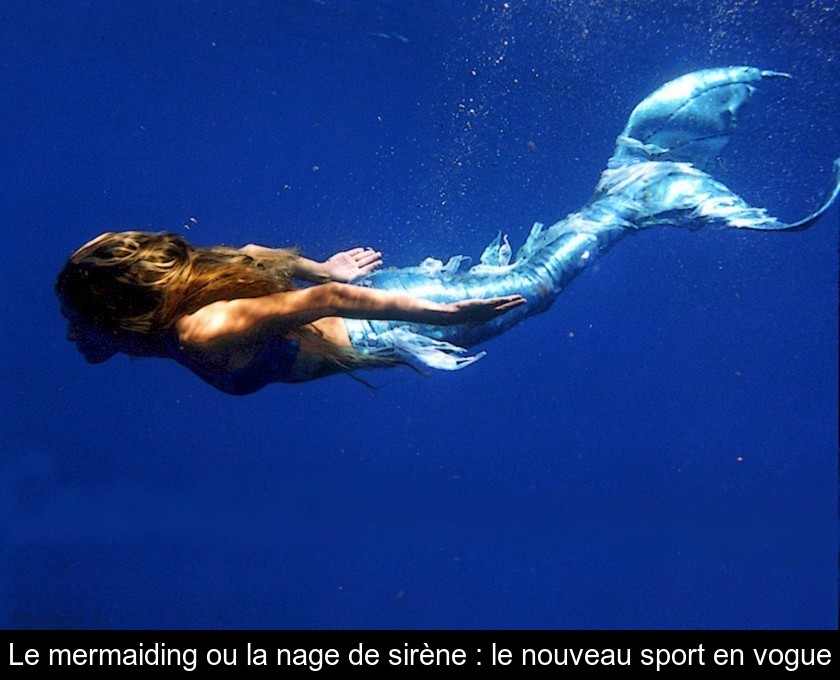 https://www.gralon.net/articles/vignettes/thumb-le-mermaiding-ou-la-nage-de-sirene---le-nouveau-sport-en-vogue-12374.jpg