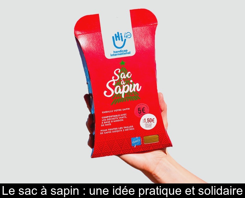 Le Sac à Sapin a 30 ans - Affiches Parisiennes