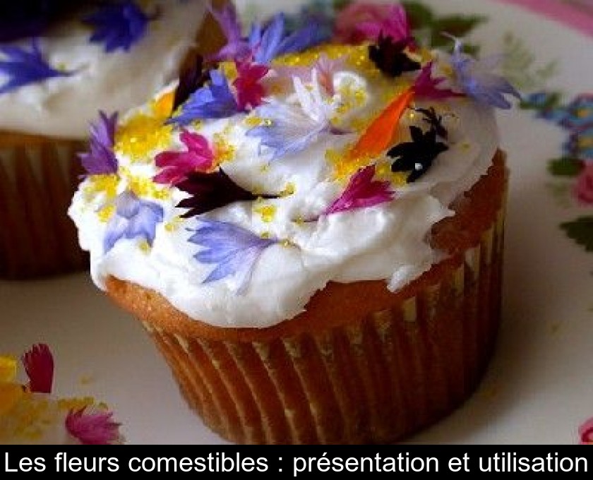 Les Fleurs Comestibles Presentation Et Utilisation