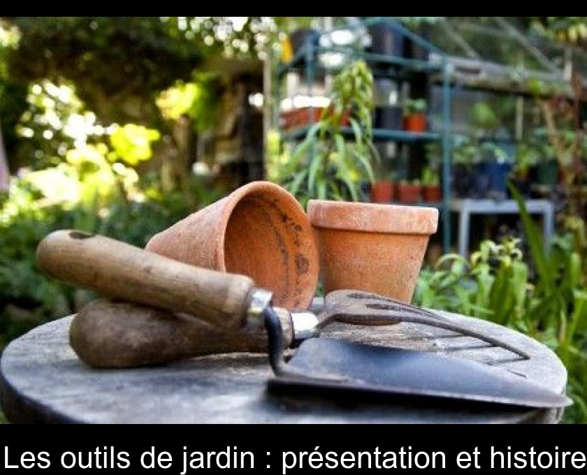 Collection D'outils De Jardin. Cultivateur De Houe Pelle Taille
