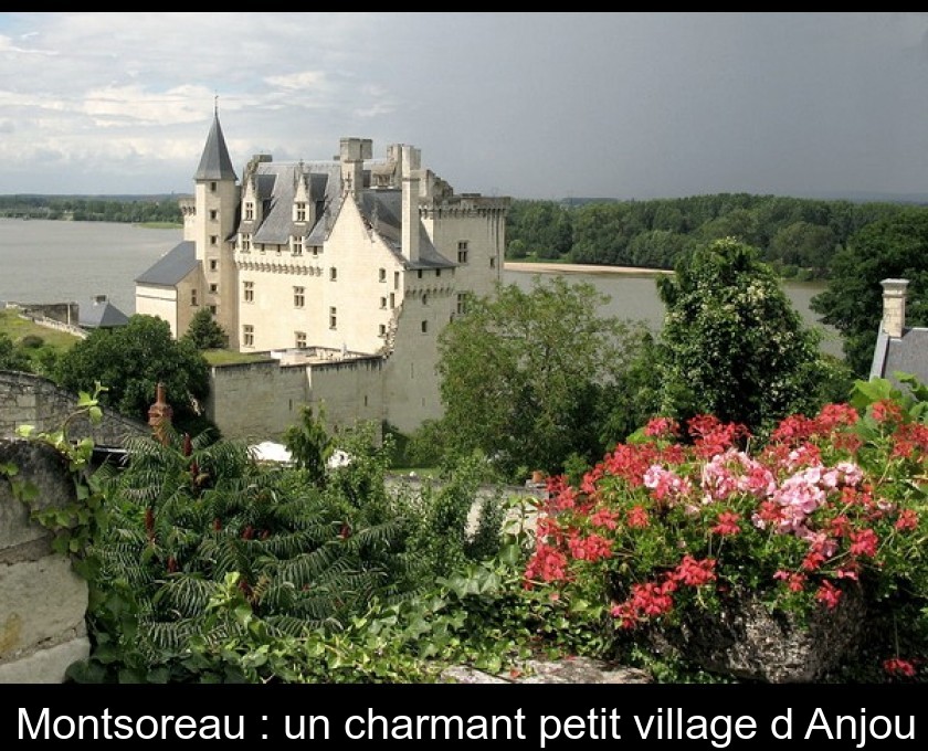 Culture des champignons  Parc Naturel Régional Loire-Anjou-Touraine
