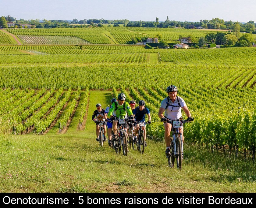 Oenotourisme : 5 bonnes raisons de visiter Bordeaux