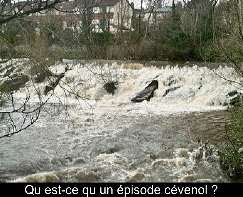 rencontre cevenole de la photo