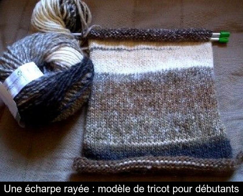 Modèle d'écharpe facile au tricot