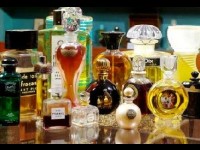 créateur de parfum formation