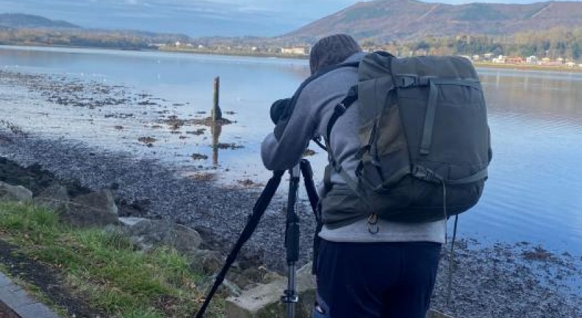 Apprendre Reconna Tre Et Nourrir Les Oiseaux De Nos Jardins Hendaye