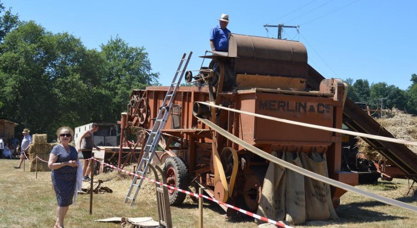 Fête De La Ferme Et Des Métiers D'antan Chalais Animaux Battage Blé ...