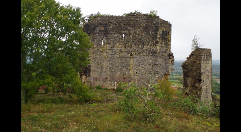 Le château de taillefer, archéologie et paysage