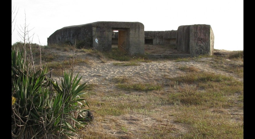 Visite des bunkers (sur réservation)