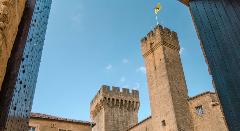 Visite guidée : le château, son histoire et son architecture