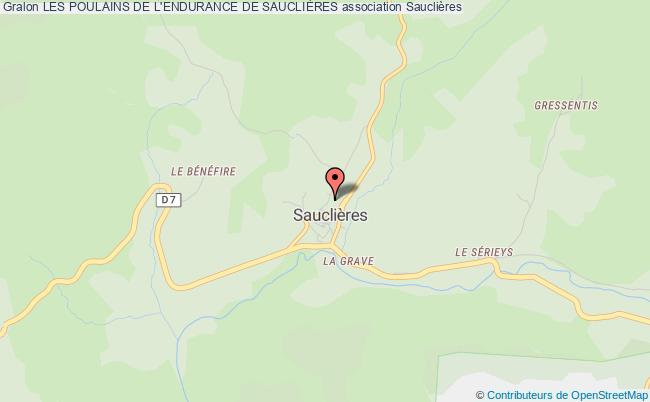 LES POULAINS DE L'ENDURANCE DE SAUCLIÈRES