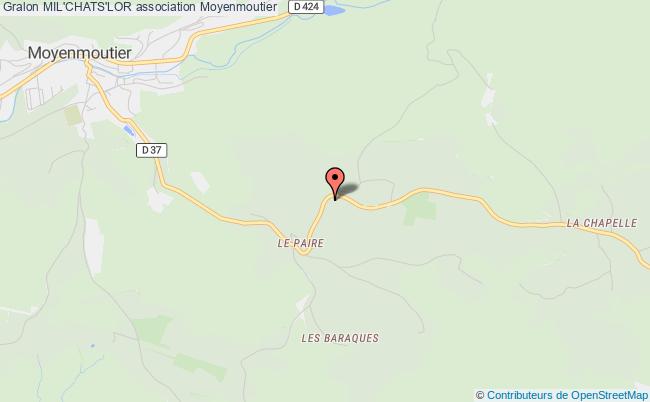 Mil Chats Lor Association Blamont Chat Luneville Meurthe Et Moselle Saint Die Des Vosges Etival Clairefontaine