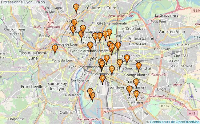 plan Professionnel Lyon Associations professionnel Lyon : 309 associations