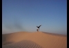 Photo un poirier dans le sahara! du jamais vu!