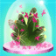 Mini plante cactus