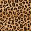 Peau de leopard