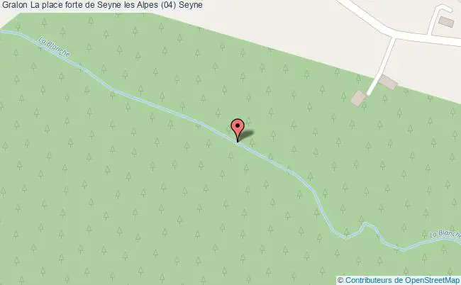plan La Place Forte De Seyne Les Alpes (04) Seyne Seyne