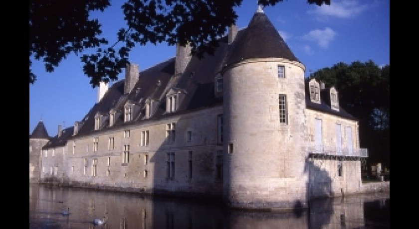 Chateau de Dinteville