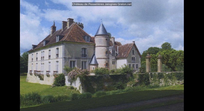Château de Pesselières