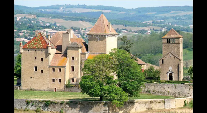Château Historique de Pierreclos