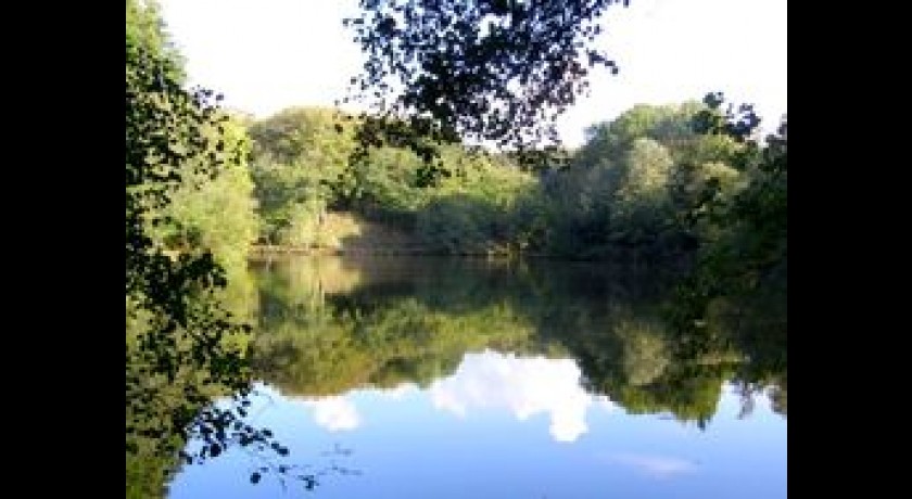 Etangs de pêche