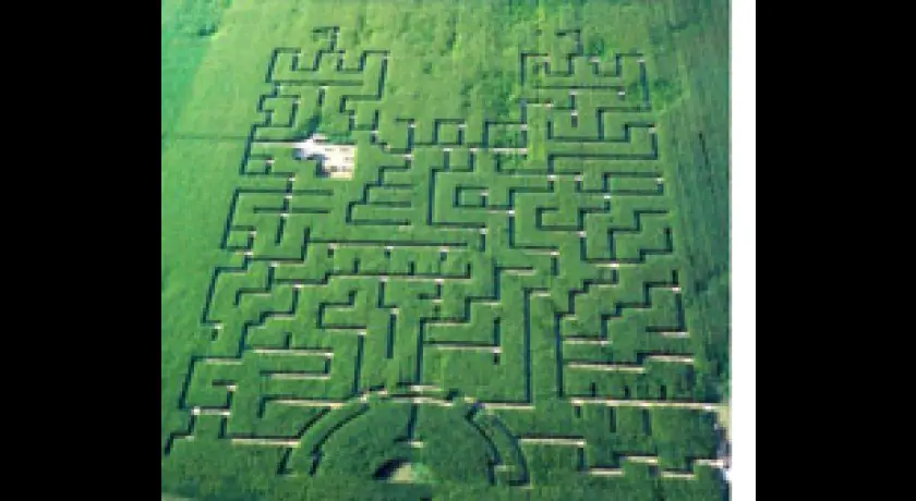 Le Labyrinthe de Maïs